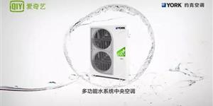 ����������A�ֈA����(gu��)�c�ļ��Ր���ˇ���s�ˏV���𺳵ǈ�(ch��ng)��